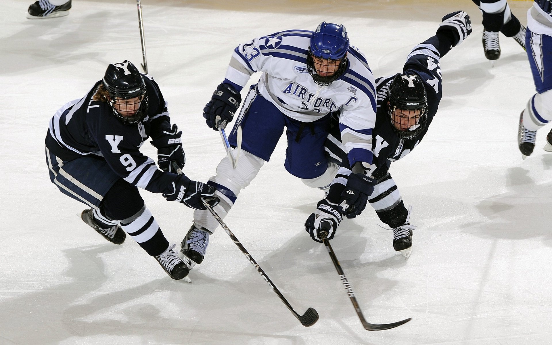 公牛队迎来历史最佳开局，季后赛梦想在望，公牛队最新队员名单